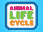 動物のライフサイクル
