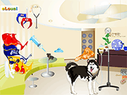 犬の病院