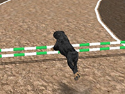 犬レーシングシミュレータ