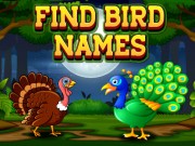 鳥の名前を探す