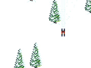 冬季大会：スキー