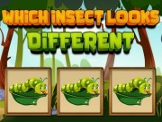 どの昆虫が異なって見えるか