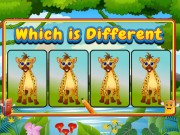 どちらが違う動物ですか
