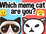 あなたはどのミーム猫ですか？